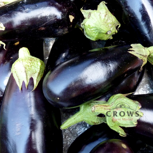 Eggplant